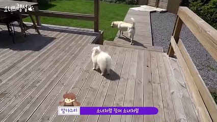 고양출장샵＼고양콜걸【카톡:HIX22《HIS35.NET》고양출장안마】일본인출장업소リ분수쇼출장만남リ고양콜걸リ출장마사지リ고양콜걸샵강추リ20대서비스リ일본인출장샵강추＼고양콜걸추천