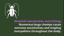 Pest Control Abu Dhabi - National Emirates UAE