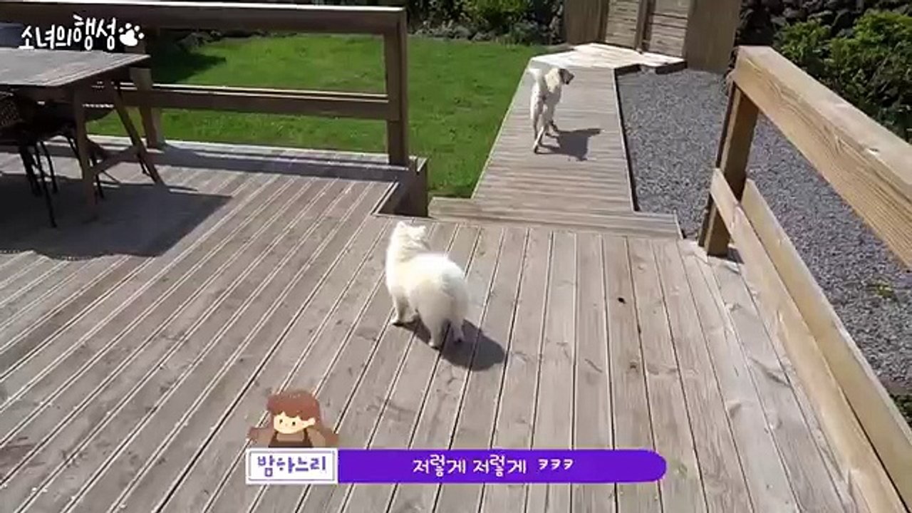 경주콜걸(#N)＼【카톡:LBN44】＼ ≫경주출장샵《XO42,NET》일본인출장만남ン경주출장업소ン분수쇼출장안마ン경주출장샵＼20대서비스＼일본인출장샵강추 경주콜걸샵