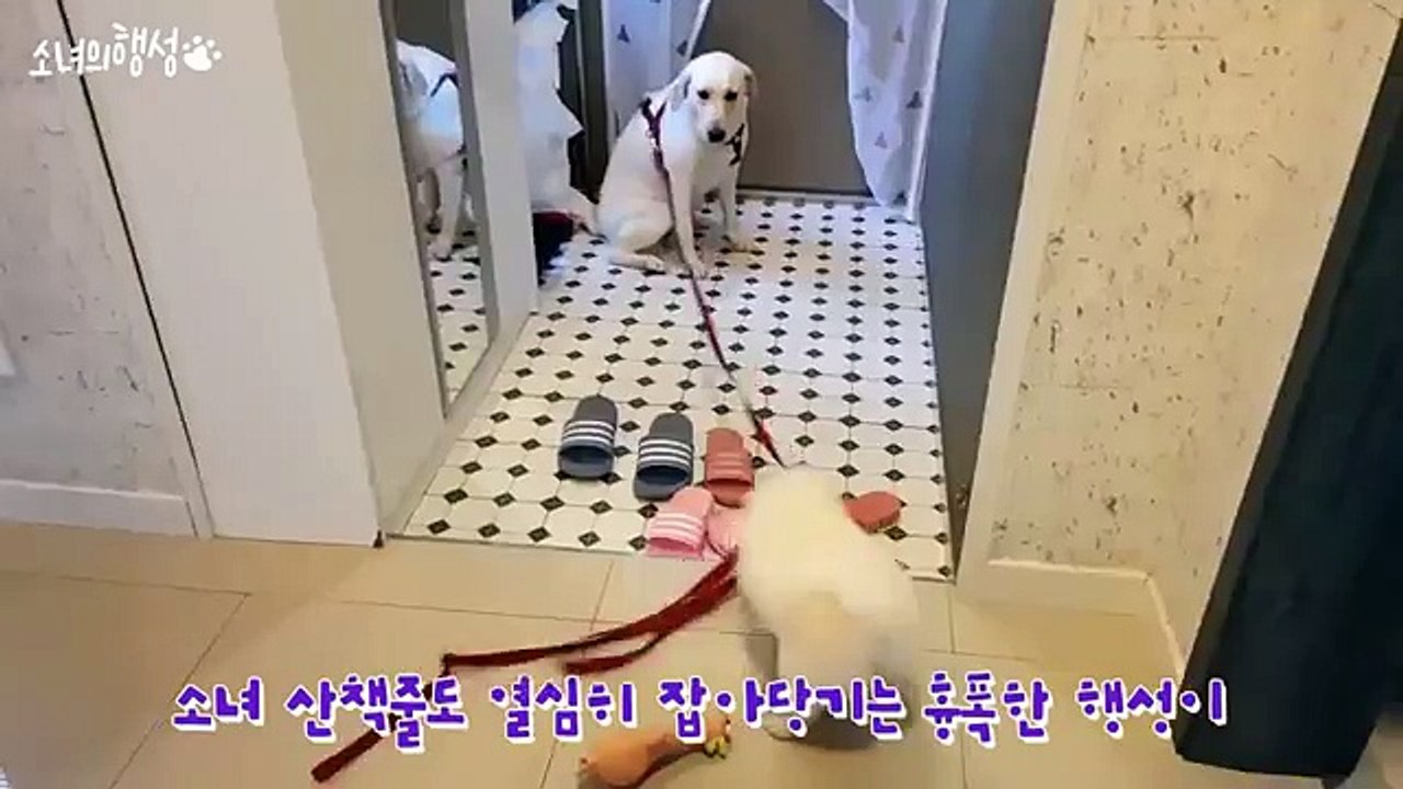 『／홍천콜걸 카톡LBN77「홍천콜걸샵」홈피XO43,NET／』홍천출장샵ヨ%일본인출장만남ヨ홍천콜걸강추ヨ홍천출장샵추천ヨ홍천콜걸후기홍천출장안마ヨ홍천콜걸가격ヨ홍천출장업소ヨ