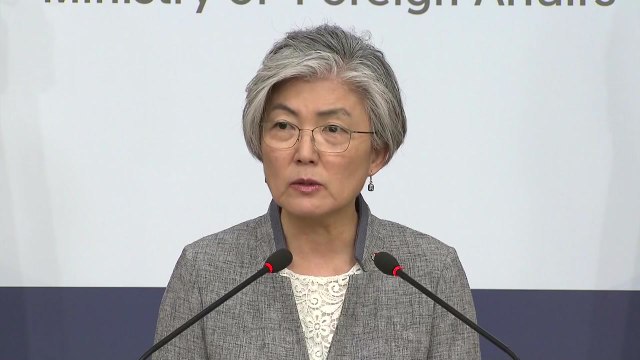 강경화 북미 핫라인, 아직 구체적 추진 안 돼 / YTN