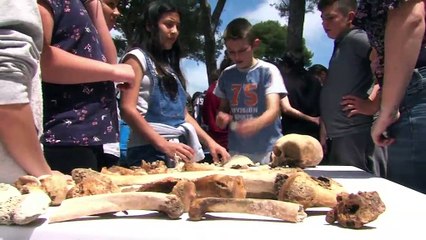 LA QUOTIDIENNE - LE RENDEZ-VOUS : La Quotidienne - Le RDV avec l'Archéologie : Os 18 05 18
