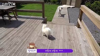 "보성출장샵"((보성콜걸샵))""카톡WHT67""홈피WHT67.NET""보성일본인출장안마 보성여대생출장마사지 보성출장만남 보성출장샵((추천)) 보성출장콜걸 보성콜걸만남 보성콜걸마사지 보성콜걸가격 미시출장샵
