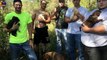 They Were Having A Bachelor Party In The Woods When A Starving Stray Came And Asked Them For Help