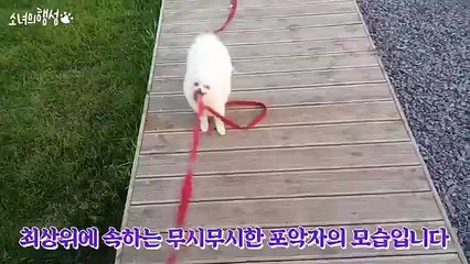 서울출장샵【카톡:HIS55】일본인출장만남【//HIS35,NET//】서울콜걸レ서울출장샵추천レ일본인서울콜걸샵レ서울출장업소レ서울출장안마추천レ서울출장만남レ서울콜걸