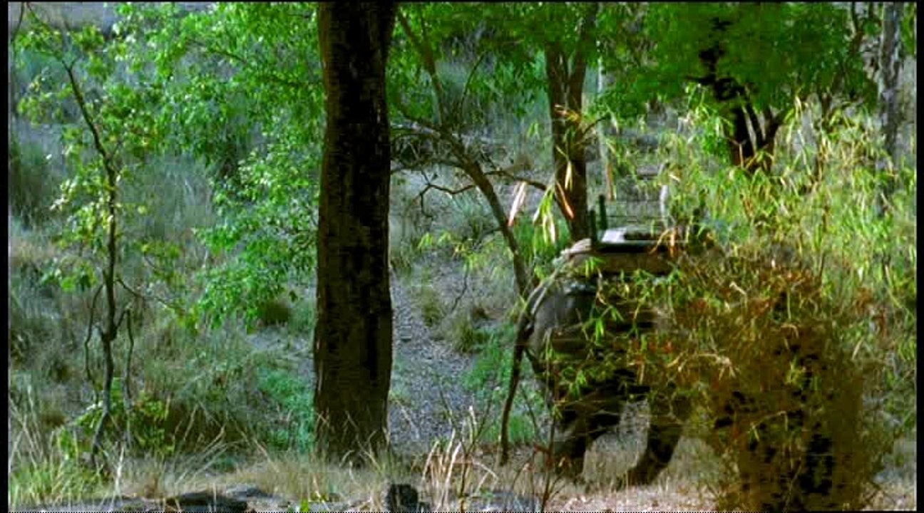 Vadvilág - 01 - A Tigris