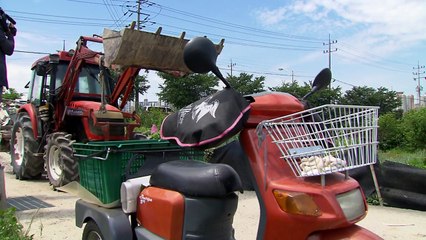 선거 뒷날 지역감정 때문에...이웃을 트랙터로 '쾅' / YTN