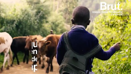 Des scientifiques ont la solution pour diminuer l’impact de l’agriculture moderne sur l’environnement