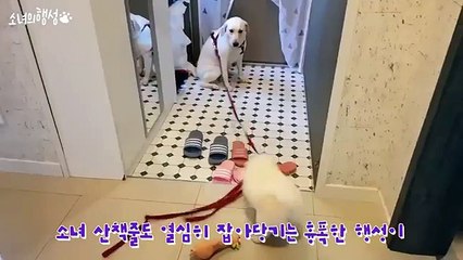 공주출장안마 카톡HIS55 공주출장샵 주소(HIS35,NET) 일본인출장업소ヰ공주콜걸ヰ공주출장만남ヰ공주출장샵추천ヰ공주콜걸가격ヰ공주애인대행