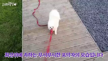 아산콜걸(#N)＼【카톡:LBN44】＼ ≫아산출장샵《XO42,NET》일본인출장만남ン아산출장업소ン분수쇼출장안마ン아산출장샵＼20대서비스＼일본인출장샵강추 아산콜걸샵