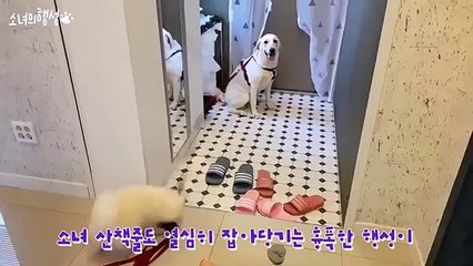 {군포출장샵}ワ＂≫군포콜걸「／카톡LBN44 ／XO43,NET／」군포출장샵추천(ョ)일본인출장안마 [추천]ョ군포출장만남ョ여대생출장샵추천ョ일본인출장샵ョ군포콜걸샵