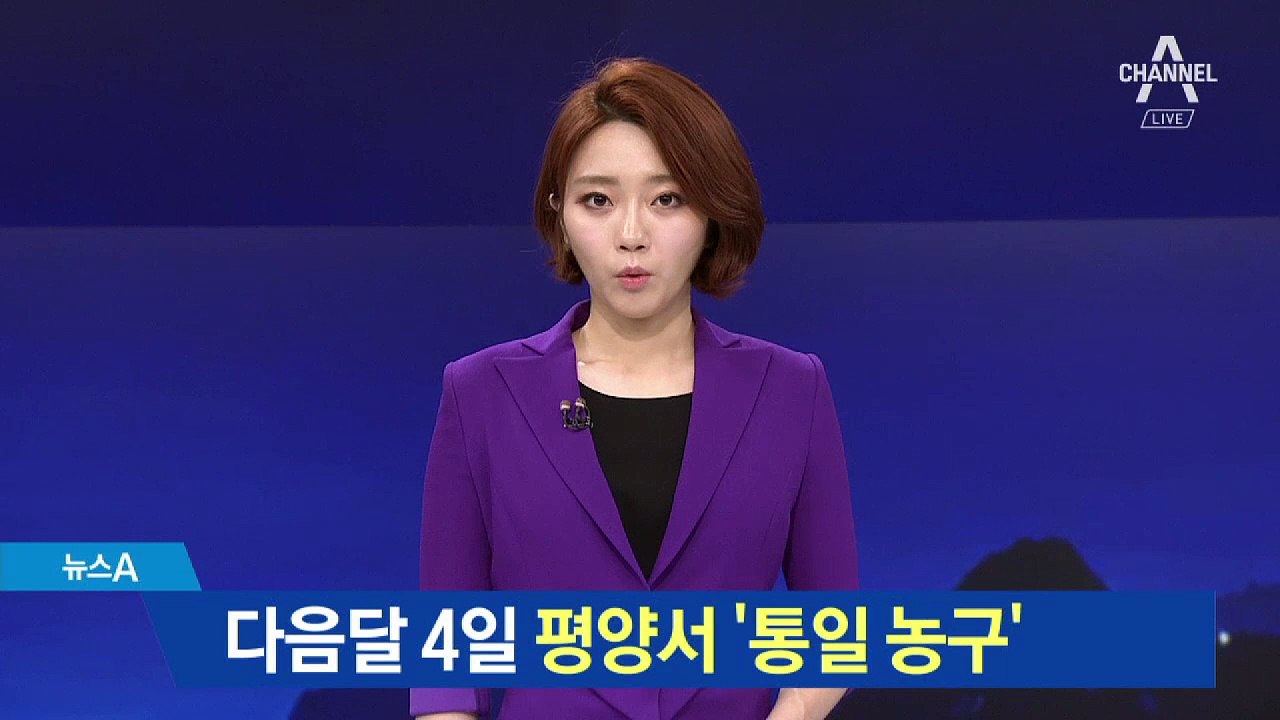 다음달 4일 평양에서 남북통일농구경기 개최
