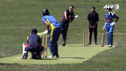 Le cricket en Suède en plein boom grâce aux migrants