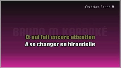 Michel Sardou - Rebelle KARAOKE / INSTRUMENTAL