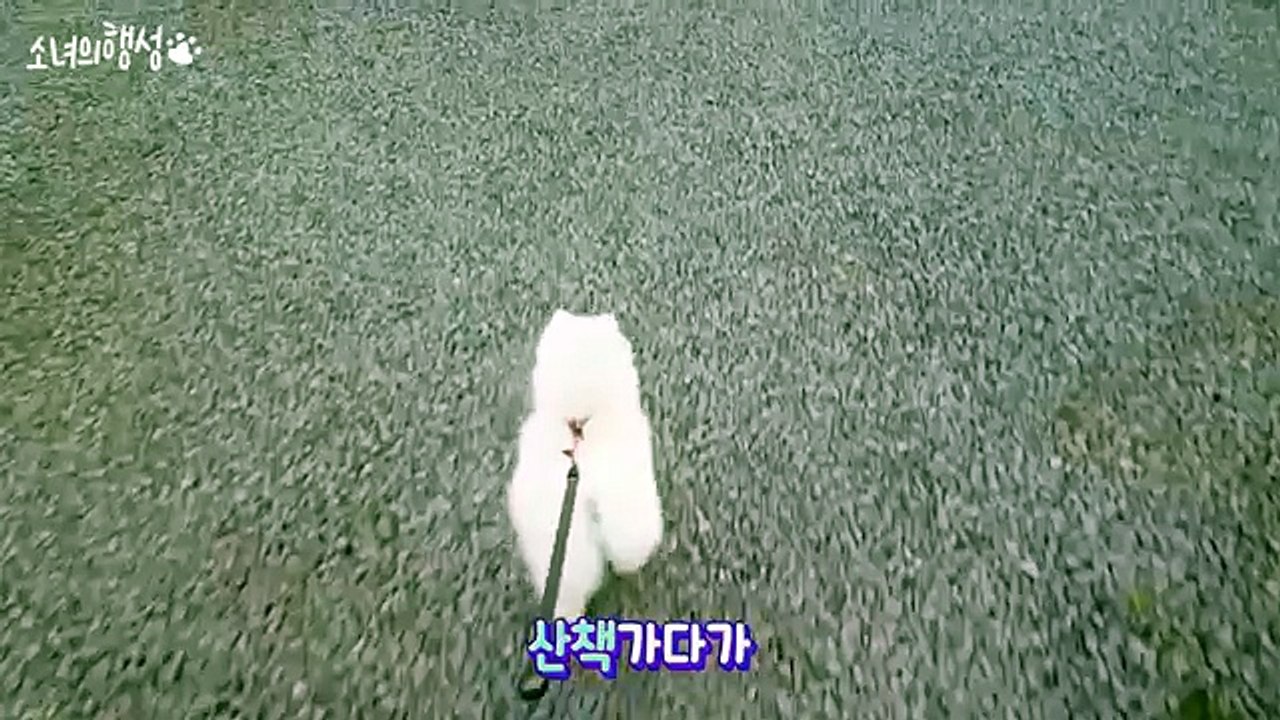 진해콜걸 『카톡wht79 진해출장샵 초이스[wht66．net]미시출장안마 진해출장만남 진해출장안마 진해출장업소 ョ 진해출장마사지 진해출장콜걸샵 진해출장샵추천ョ 진해콜걸만남 진해출장샵강추