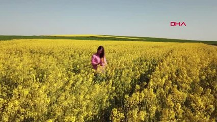 Edirne Ayçiçeğin Alternatifi Kanola Çiftinin Yüzünü Güldürüyor Hd