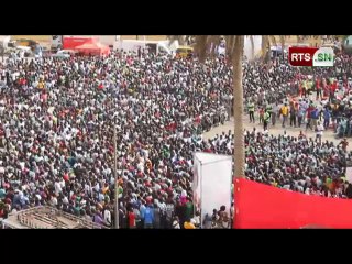 La joie des supporters après la victoire des Lions au village du mondial