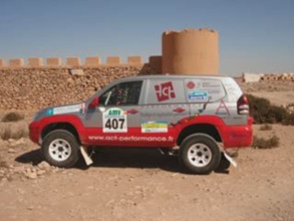 SHAMROCK 2007
