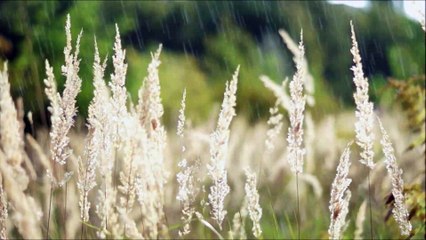 You Will Always Be The One - Loving Caliber