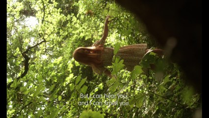 Angel / Mon ange (2016) - Trailer (English Subs)