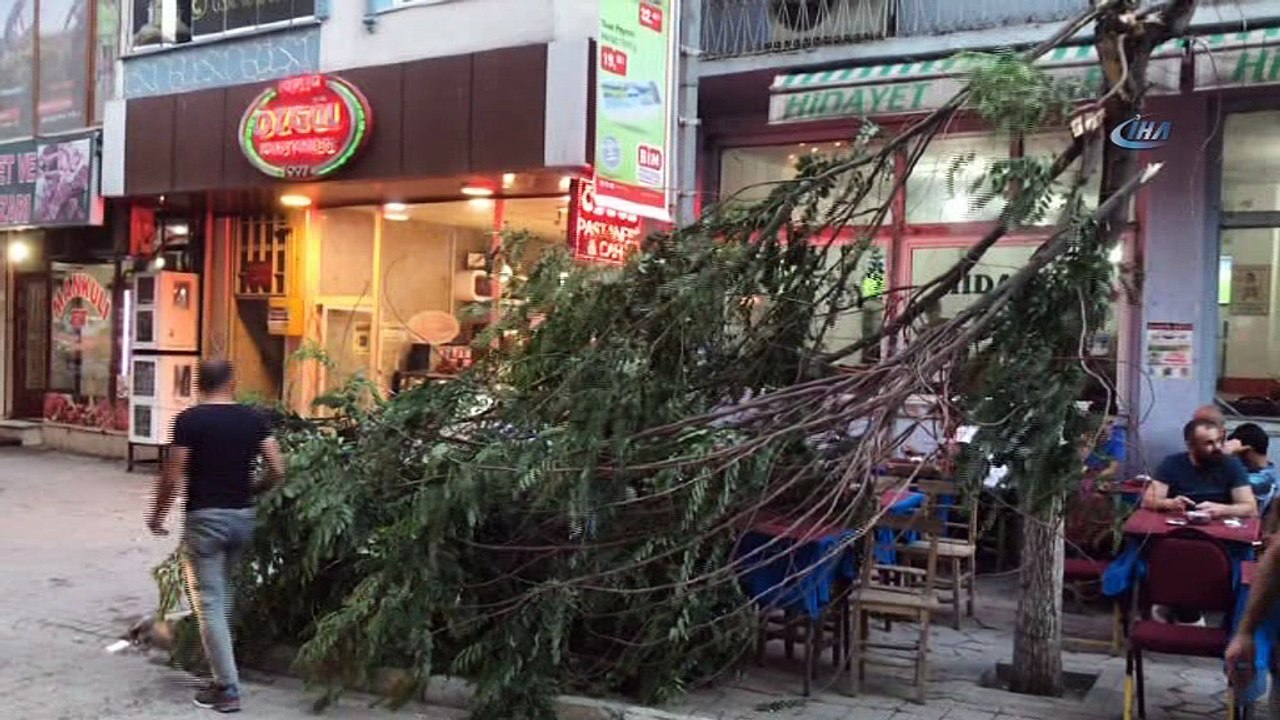 Iğdır'da fırtına ağacın dallarını kırdı