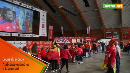 Coupe du monde de football; Belgique - Panama