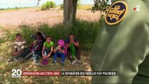 VIDÉO. États-Unis : séparer les enfants de leurs parents migrants, la mesure de Donald Trump fait scandale