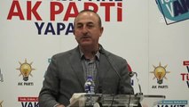 Çavuşoğlu: 