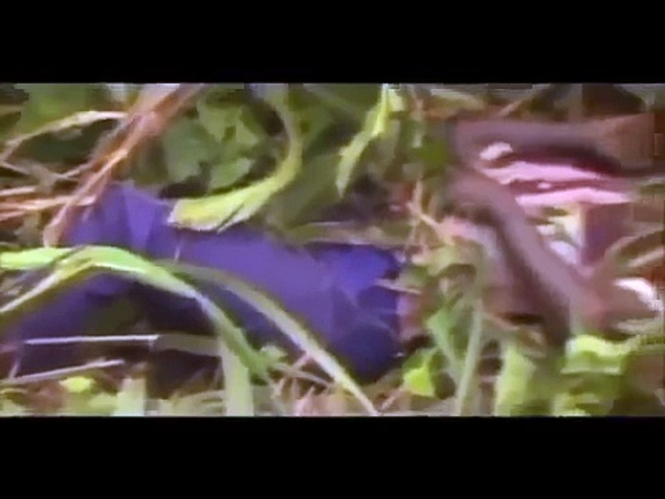 Mega Desastres - Explosão de Metano