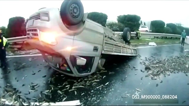 Un camion se retourne en pleine route et la recouvre de millier de poissons