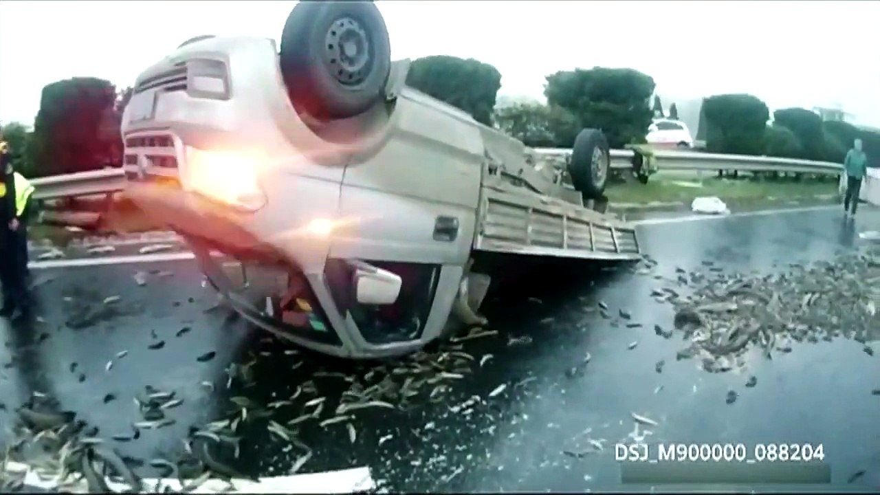 Un camion se retourne en pleine route et la recouvre de millier de poissons