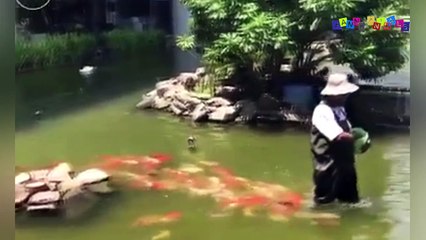 Разные приколы с разными животными. Воинственный богомол.