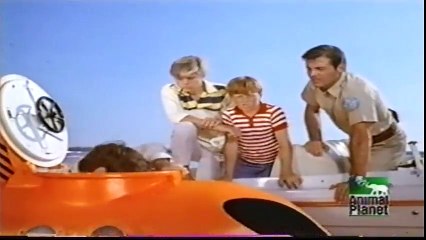 01x28 - Chame o golfinho