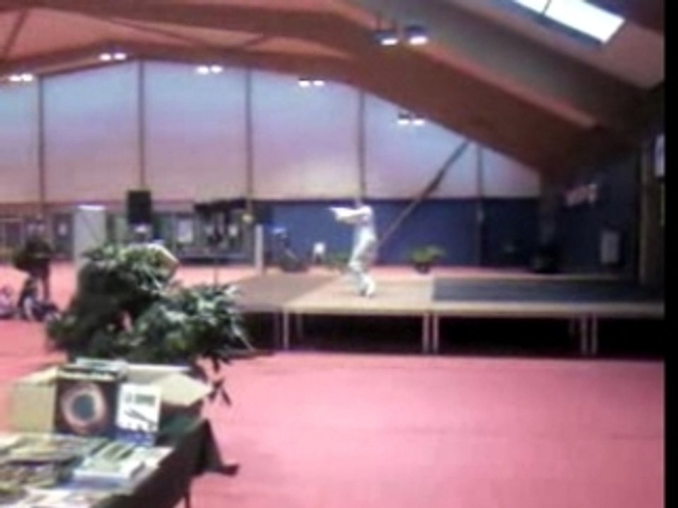 l'homme qui voulait choper la guêpe