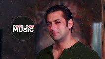 Tere Naam 2 Pira Ve Salman Khan Song Broken hearts