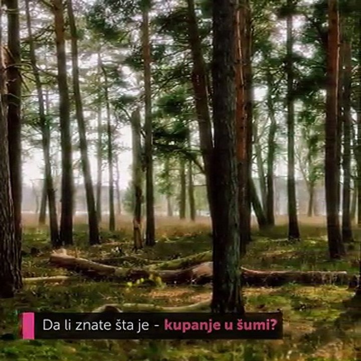 Zašto je potrebno da provodimo vreme u prirodi?