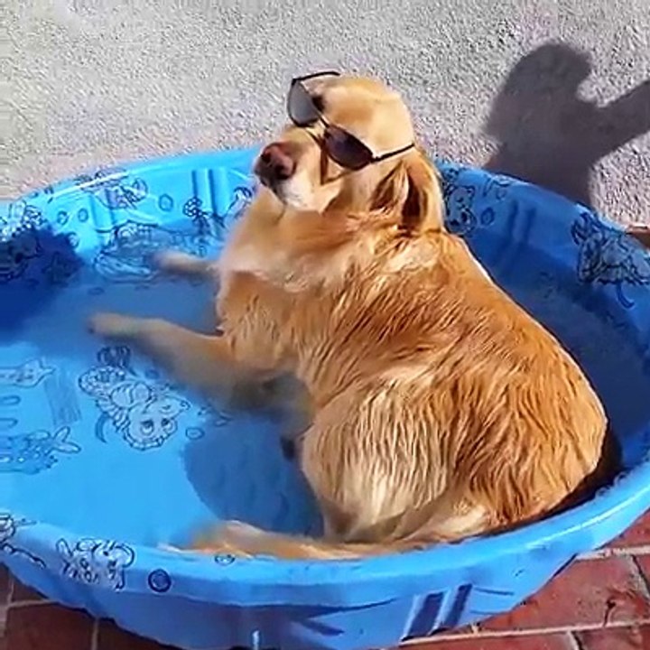 Fun in the sun!  - Try Not to Laugh