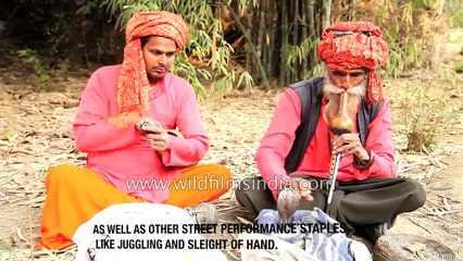 Ten Interesting Musical instruments of India