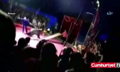 Sirkte dehşet anları