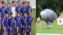 FIFA World Cup 2018 : Psychic Parrot Predicts Japan's Loss Against Colombia|वनइंडिया हिंदी