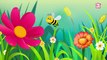 How Do Bees Make Honey? - The Dr. Binocs Show | Best Learning Videos For Kids | Peekaboo Kidz