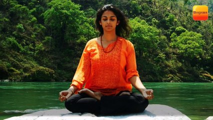 योग का इतिहास, The History Of Yoga