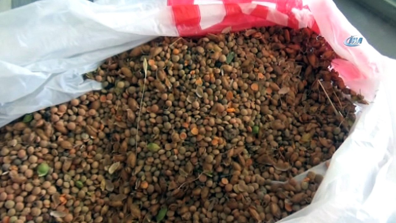 - Kuraklık ve zamansız yağış verimi düşürdü