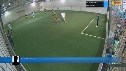 But de Etienne (2-3) - FC POKEMON Vs LES ORTHO - 18/06/18 20:00 - LIGUE 2 - Poitiers Game Parc