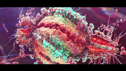 സൗദിയില്‍ വൈറസ് ഭീതി; 23 മരണം! | Oneindia Malayalam