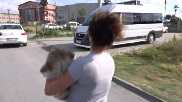 Genç Kız, Otomobil Çarpan Köpeğin Tedavisi İçin Zamanla Yarıştı