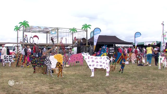 FOCUS/ Candé-sur-Beuvron : la grande fête de l'agriculture - 18/06/2018