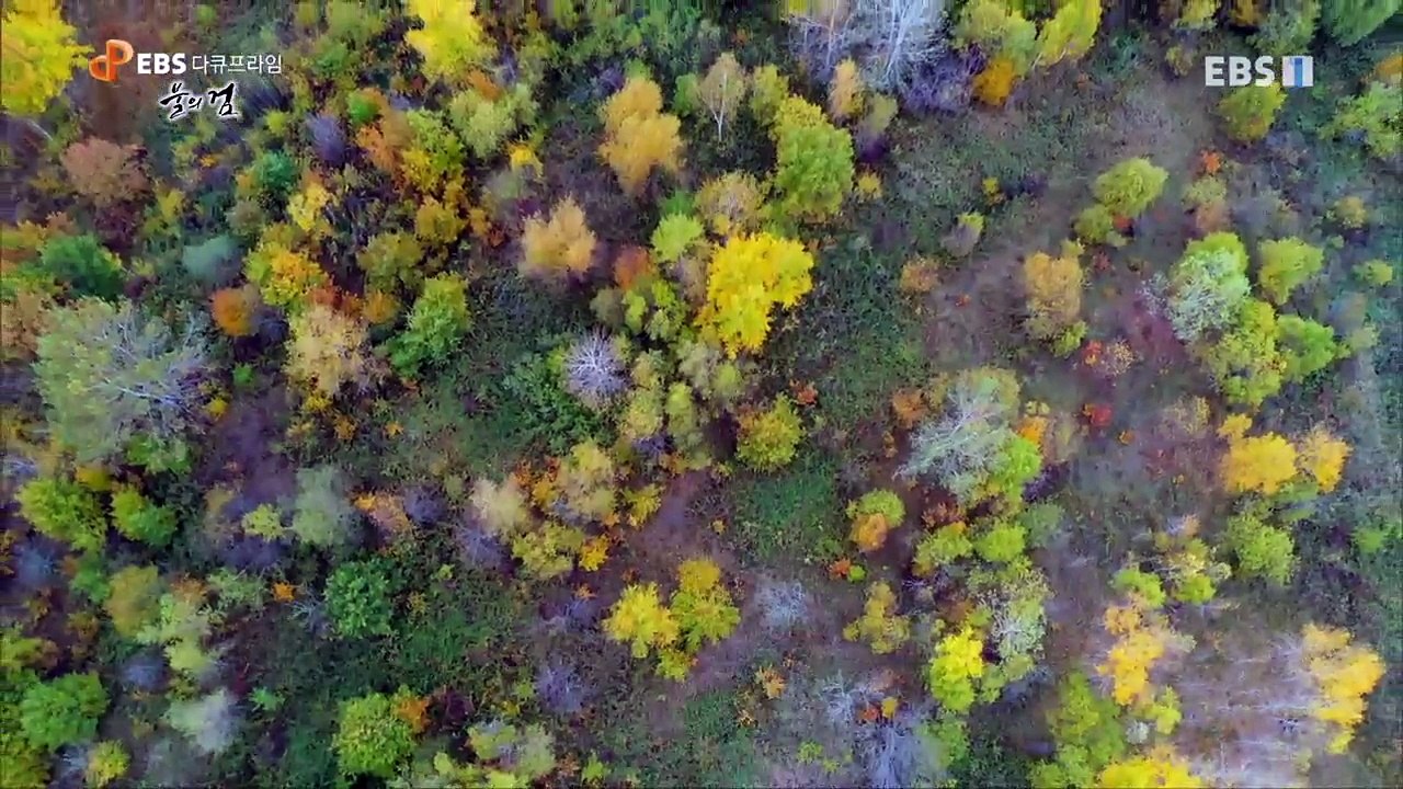 EBS 다큐프라임 - Docuprime_'불의 검' 1부- 청동의 시대_#002