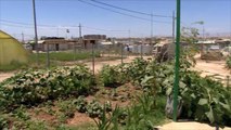 هذا الصباح- حدائق صغيرة تزين منازل لاجئي مخيم دوميز