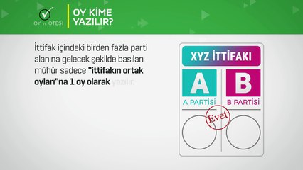 Oy kullanırken nelere dikkat etmeliyiz?